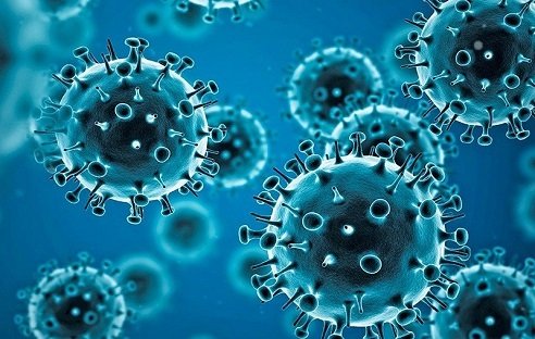 Update 31 – Coronavirus never before seen in humans is the cause of SARS