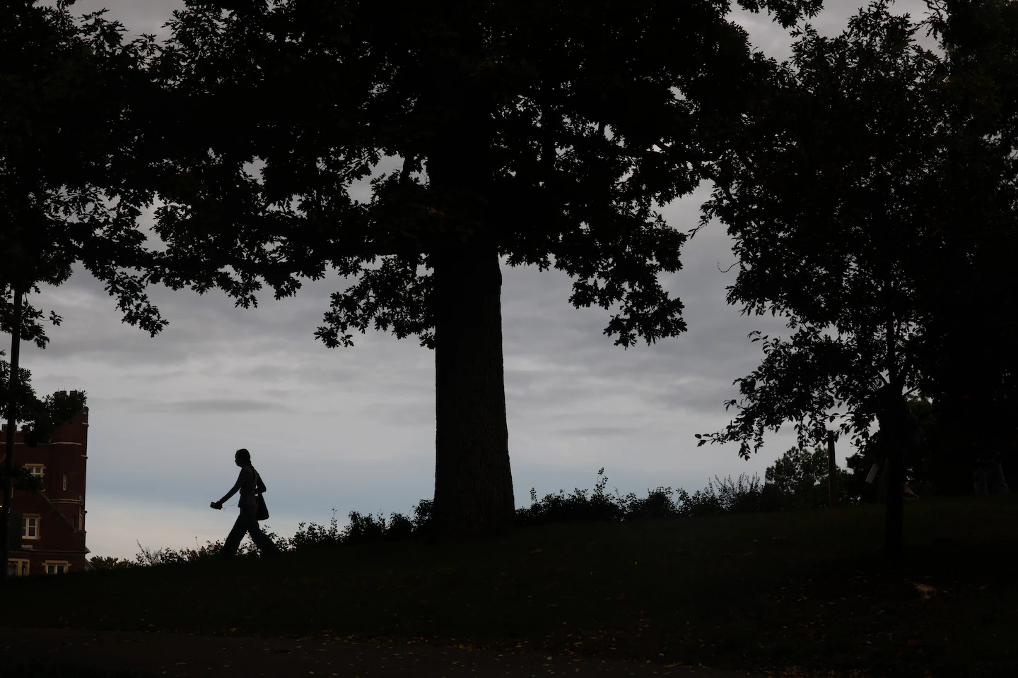 Cornell rape allegations reignite debate over laws on intoxication and consent