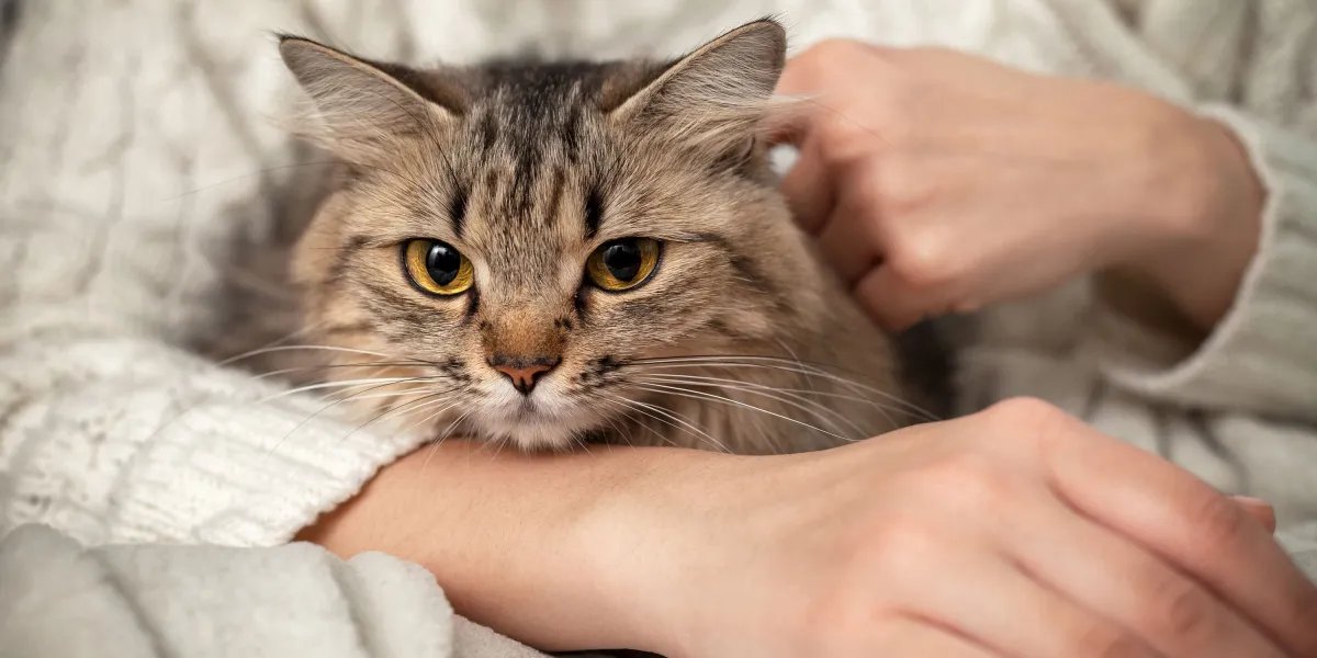 Can’t bear to say goodbye to your pet? Biotech’s got you covered.
