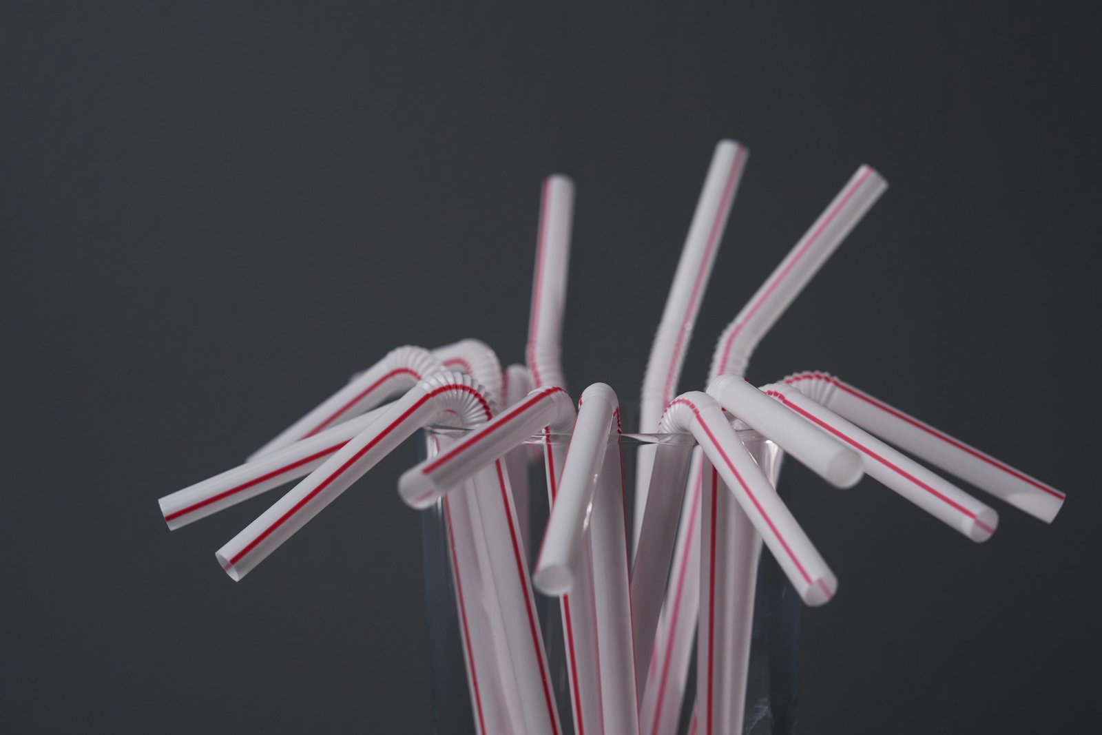 Supreme Court will hear appeal affecting Ottawa’s single-use plastics ban