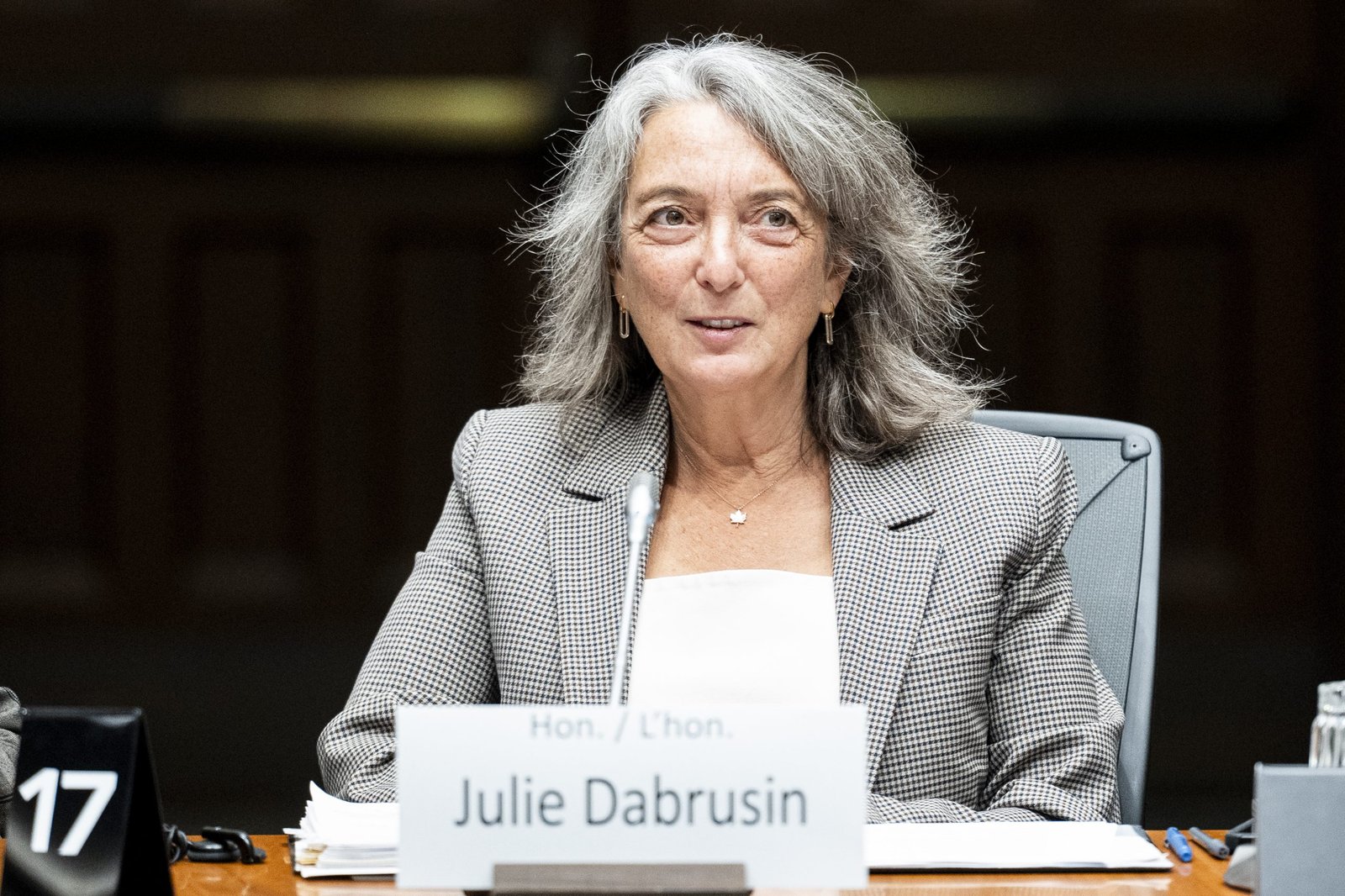 Bill C-39 committee opens with opposition push for Dabrusin testimony, longer timelines