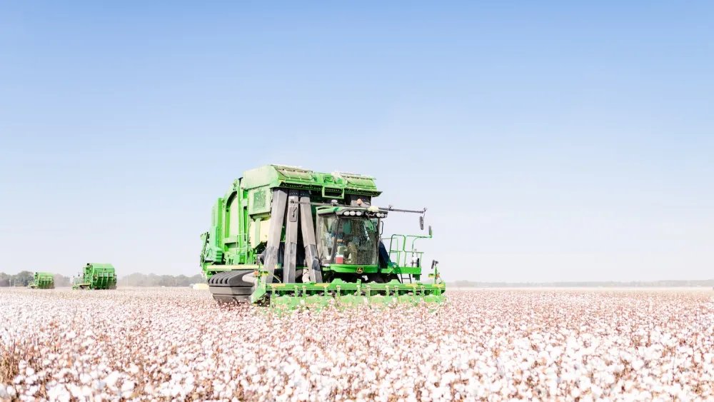 When Sustainability Matters, What Farmers Bring to Fashion’s Table