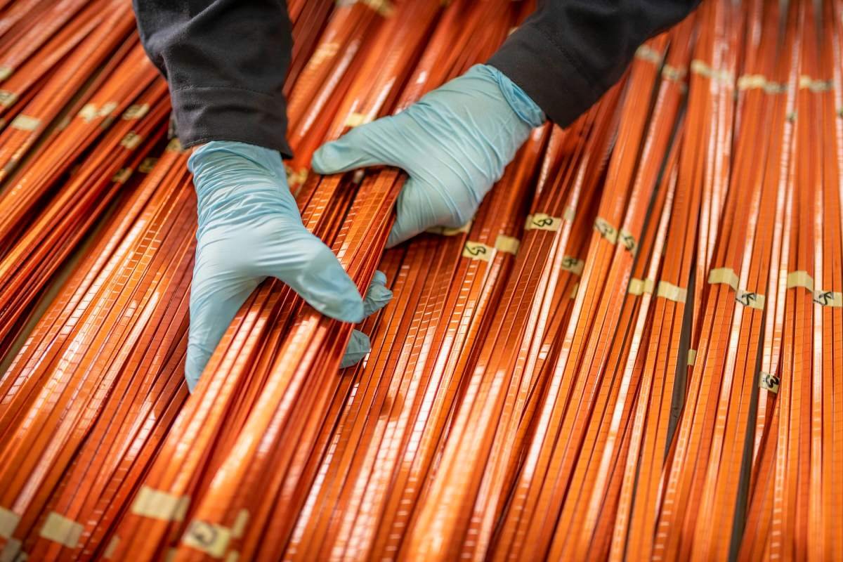 Giraffe Bio aims its bespoke biomolecules at the looming copper shortage