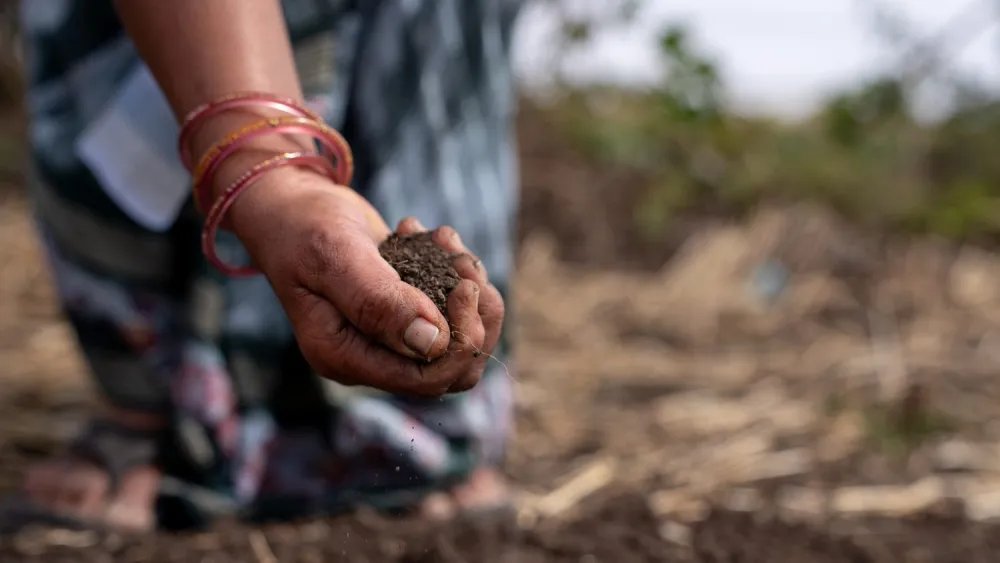 How People and Planet Intersect in BCI’s Regenerative Standards System