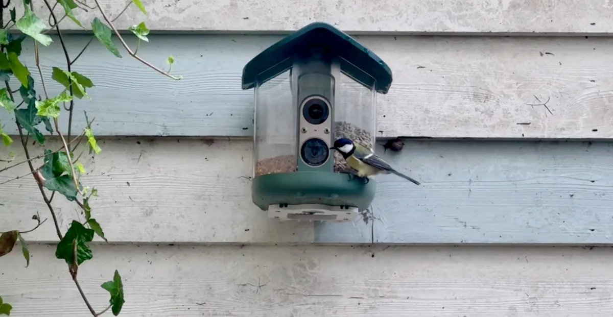 My brief romance with an AI bird feeder