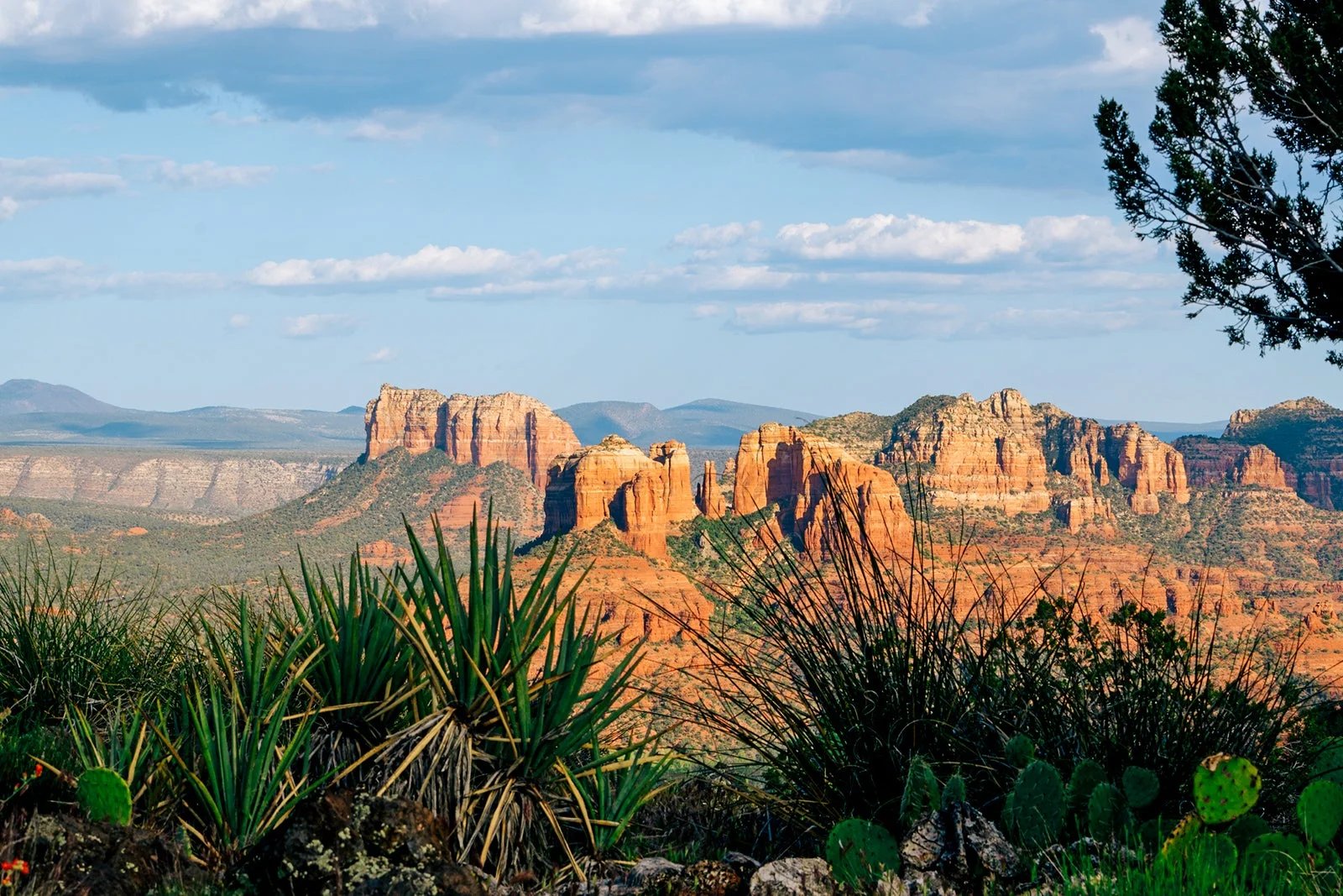 United expands in Arizona with new Flagstaff flights