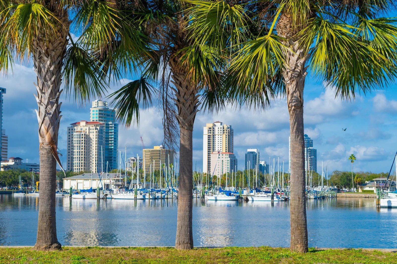 Dengue fever outbreak in Florida: What to know