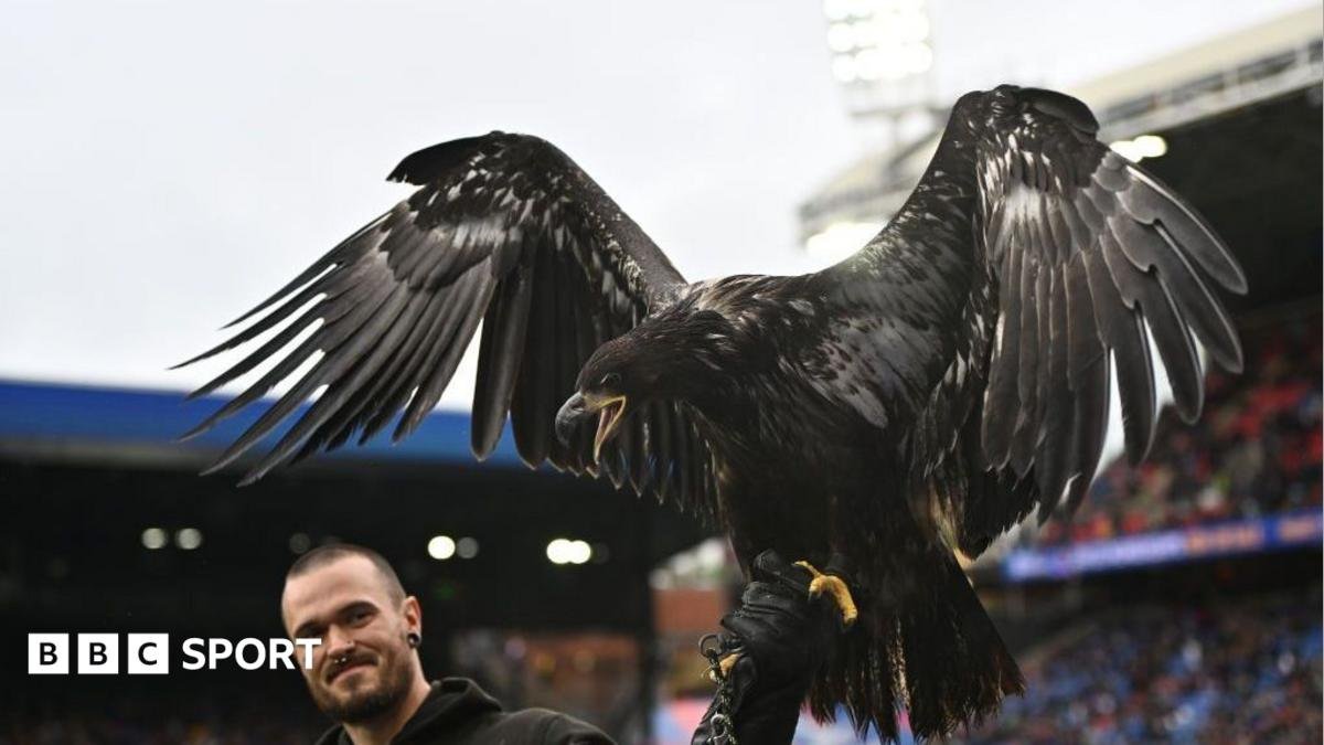 Animal rights group Peta asks Crystal Palace to retire bald eagle mascot
