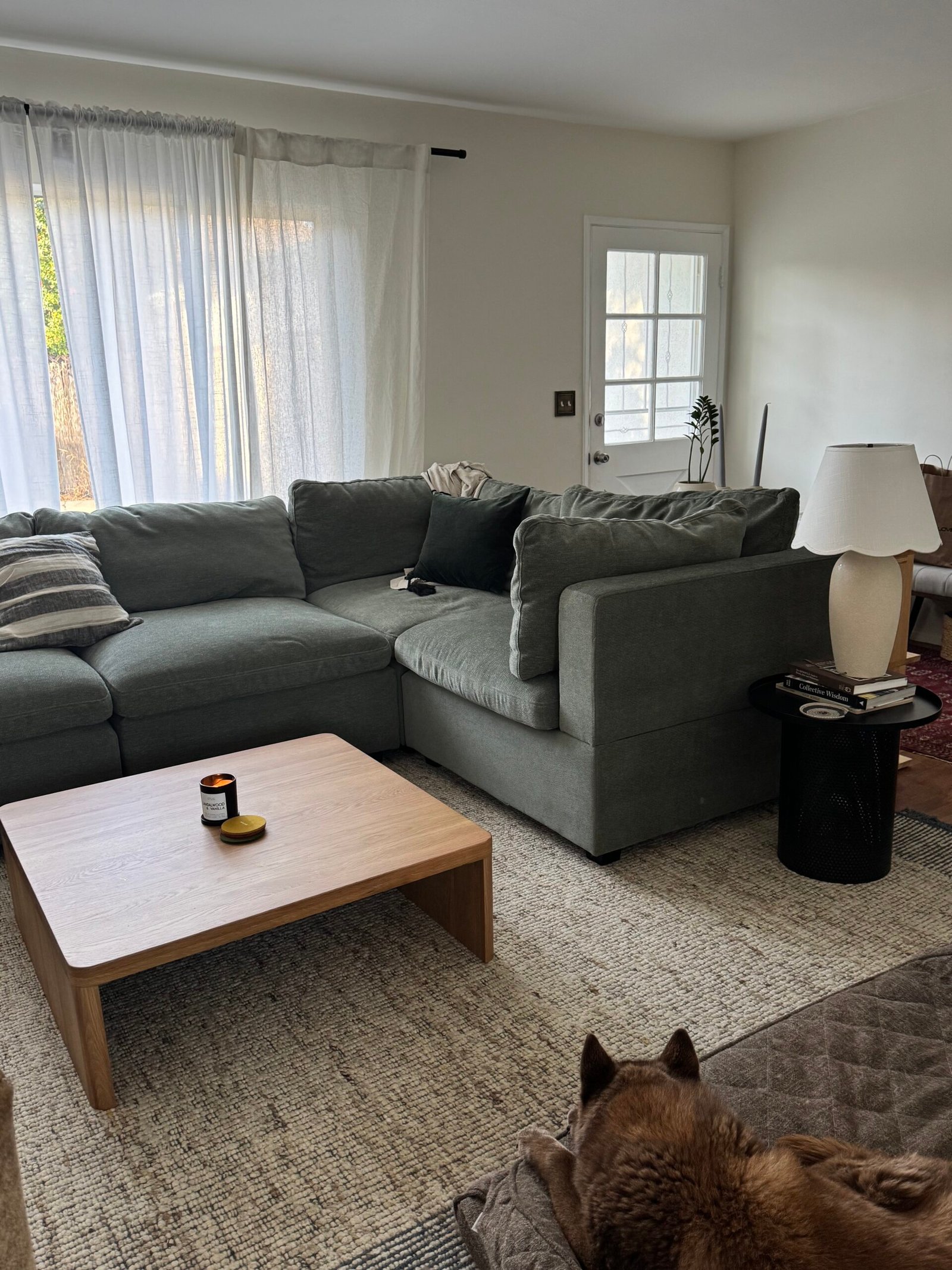 Is Albany Park’s Kova Couch Perfect For Growing Families? (Review)