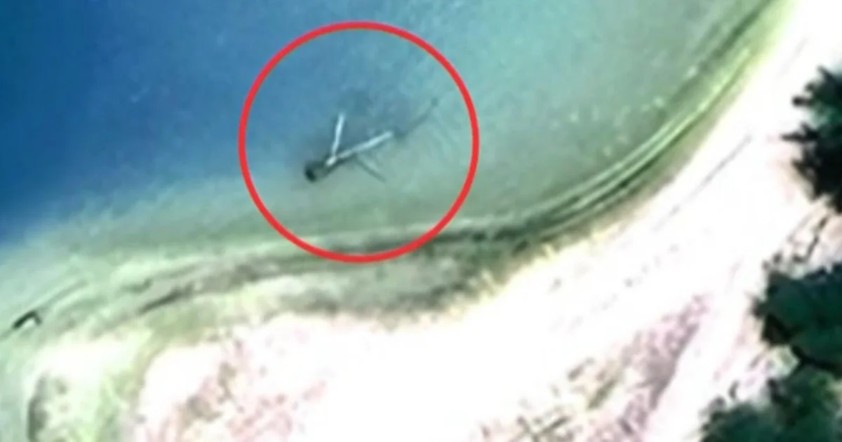 Expedition to find Amelia Earhart’s missing plane comes up empty