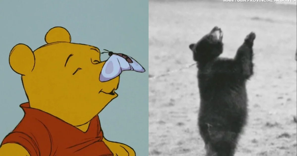 The real story behind Winnie the Pooh, born in the shadow of WWI