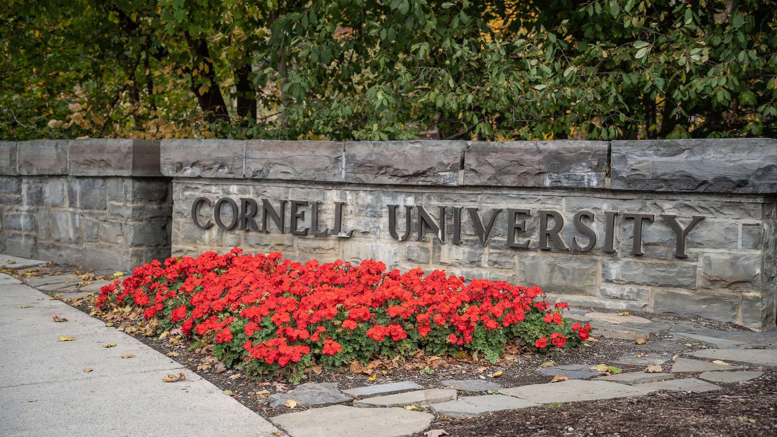 Tompkins County DA’s office declined to review additional material on ‘gang rape’ case from Cornell PD, docs show