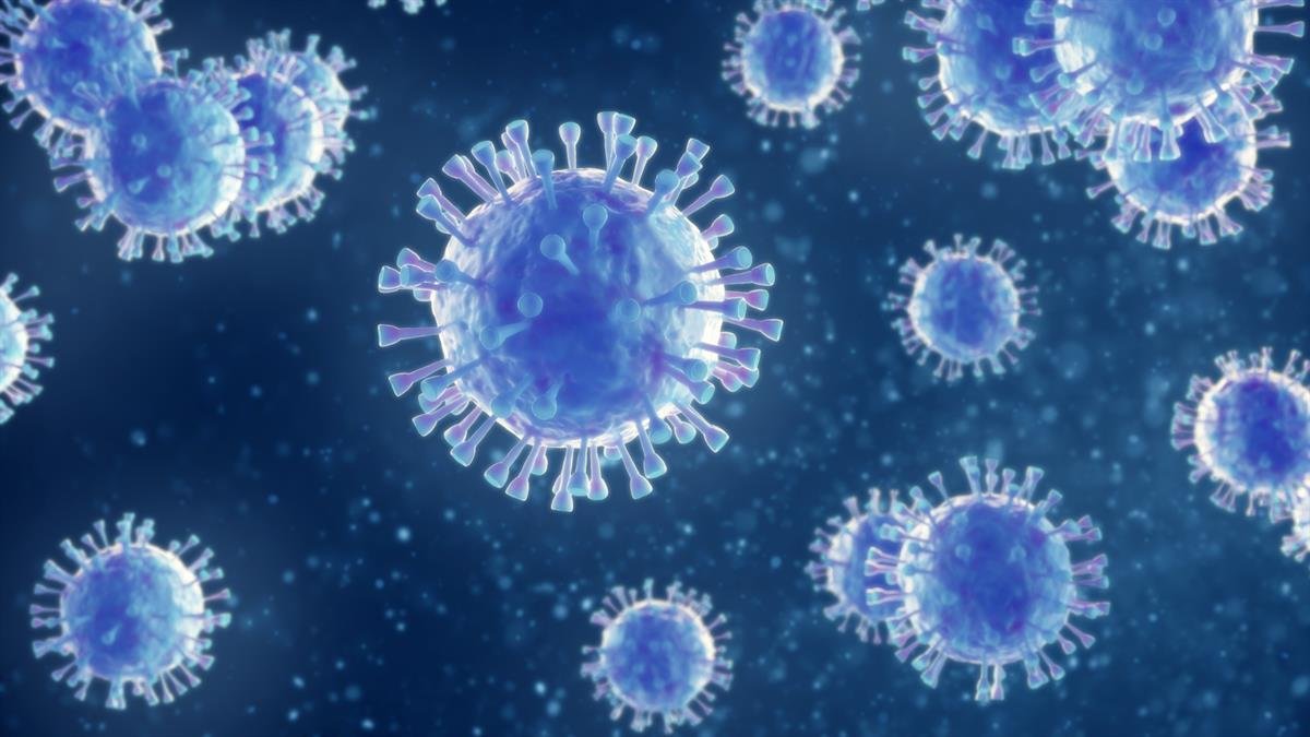 New COVID-19 Law Lab to provide vital legal information and support for the global COVID-19 response