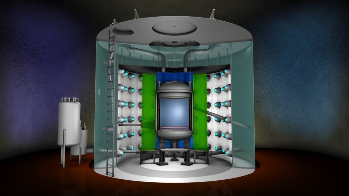 Research roundup: 6 cool science stories we almost missed