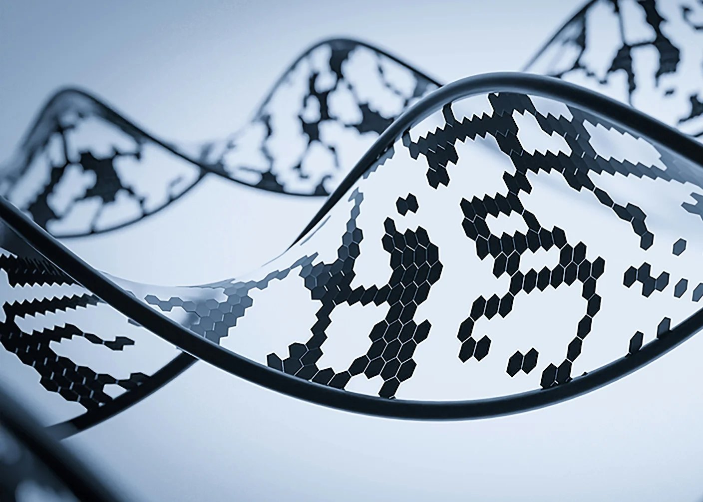 We’ve Always Copied Nature. Now We Can Search It.