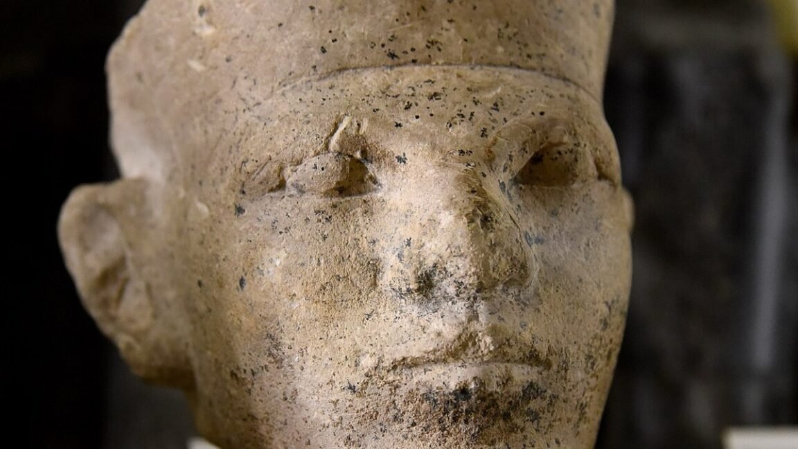 New forensic evidence supports Egyptian “retainer sacrifice”