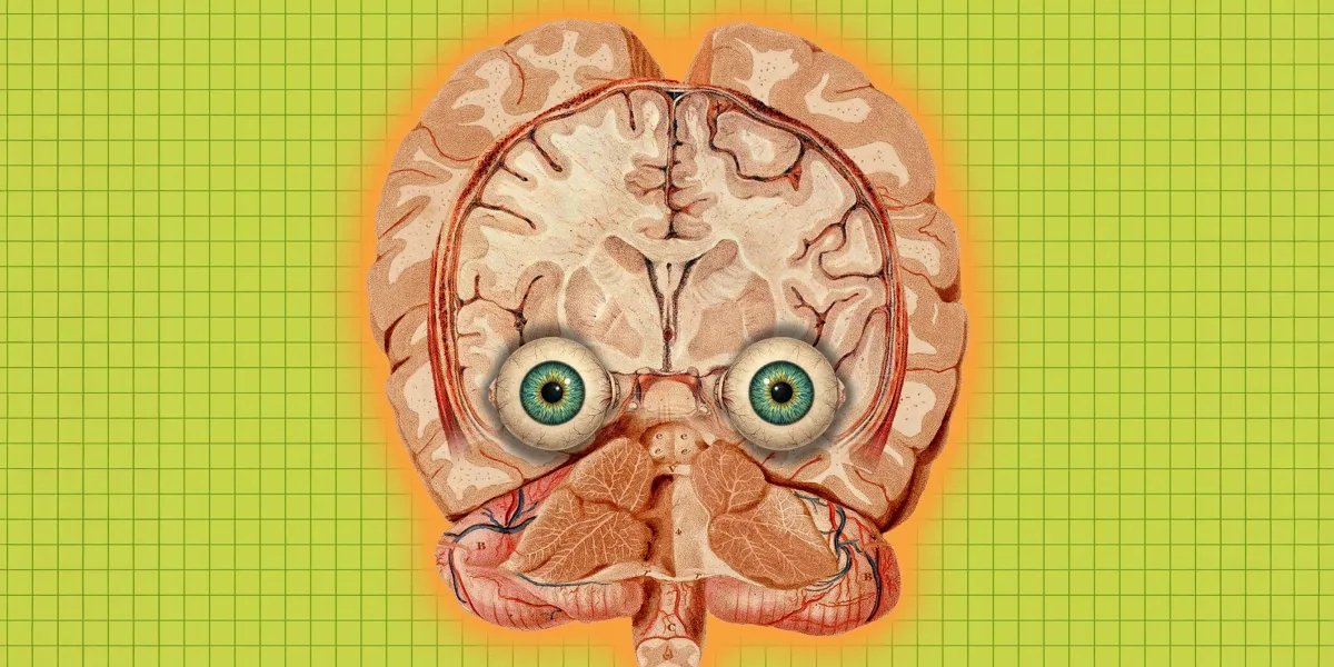 Six wild ideas for perpetuating your mind