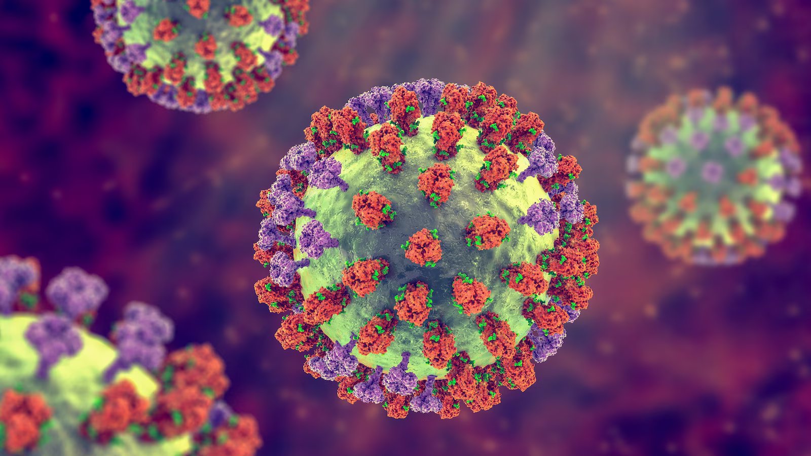 San Francisco records 1st flu-related death this season
