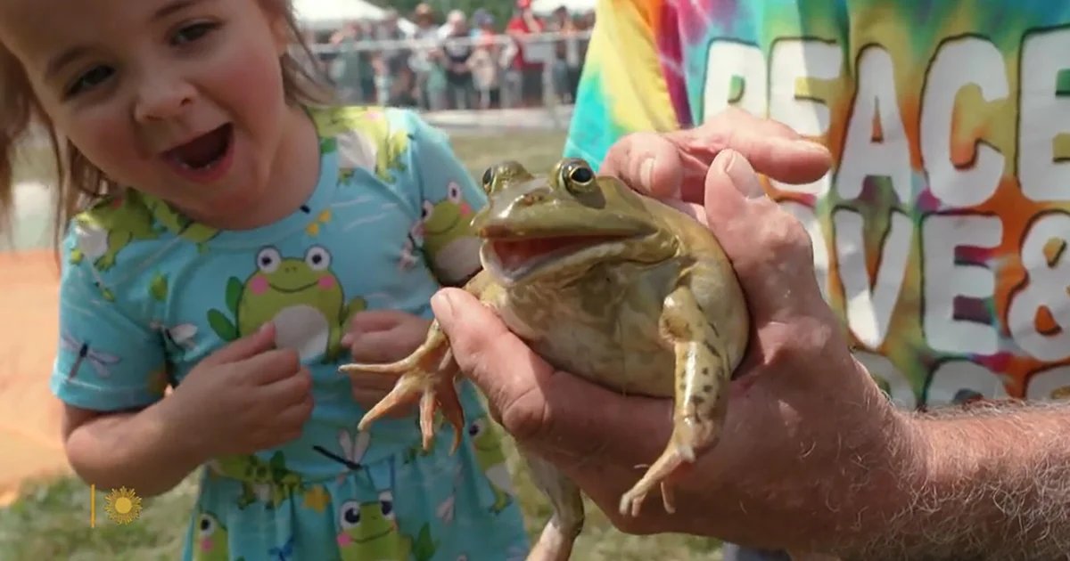Hop to it! Drama at the Valley City, Ohio Frog Jump