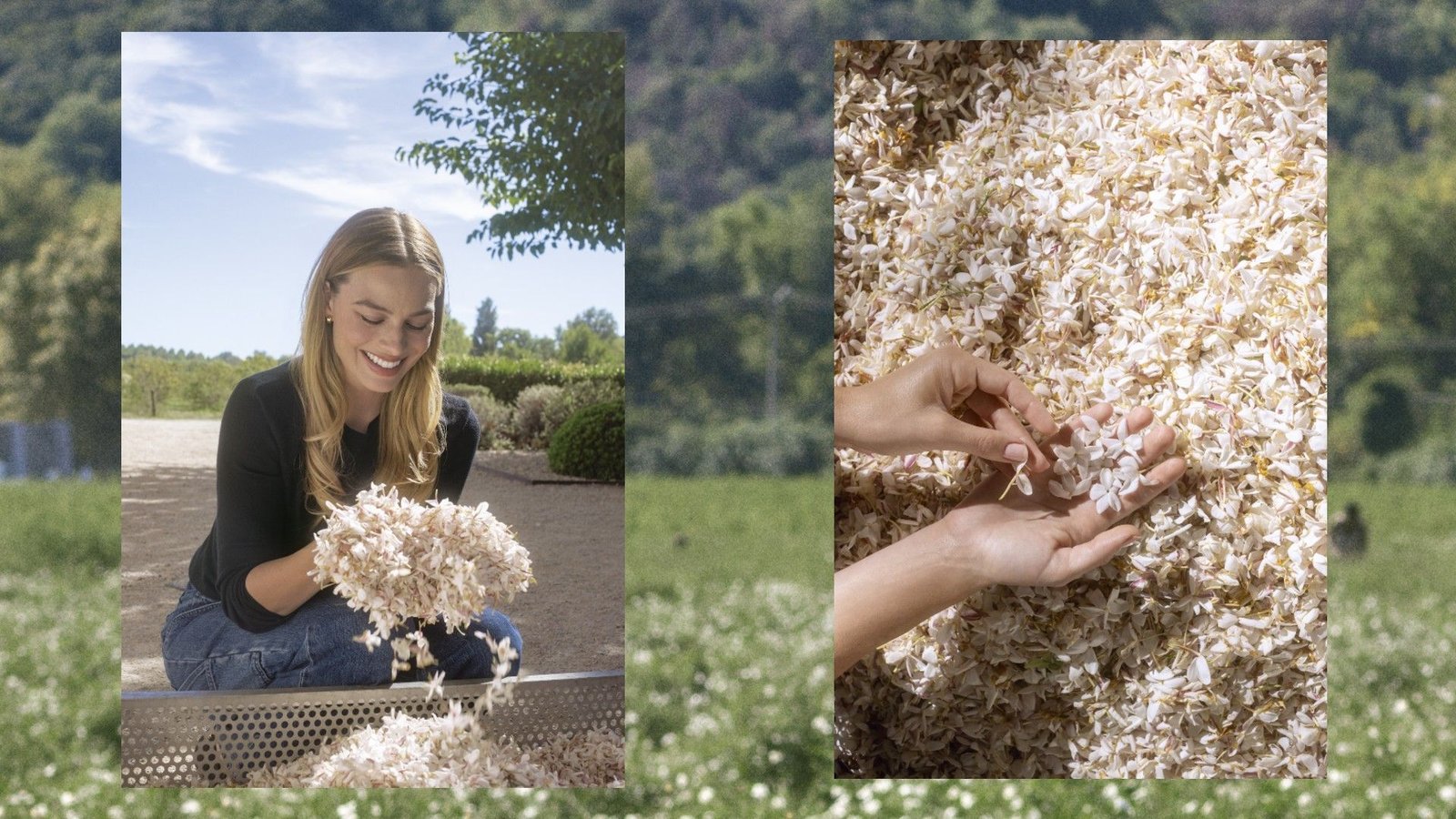 Chanel Offers a Rare Glimpse Into the Making of Chanel N°5