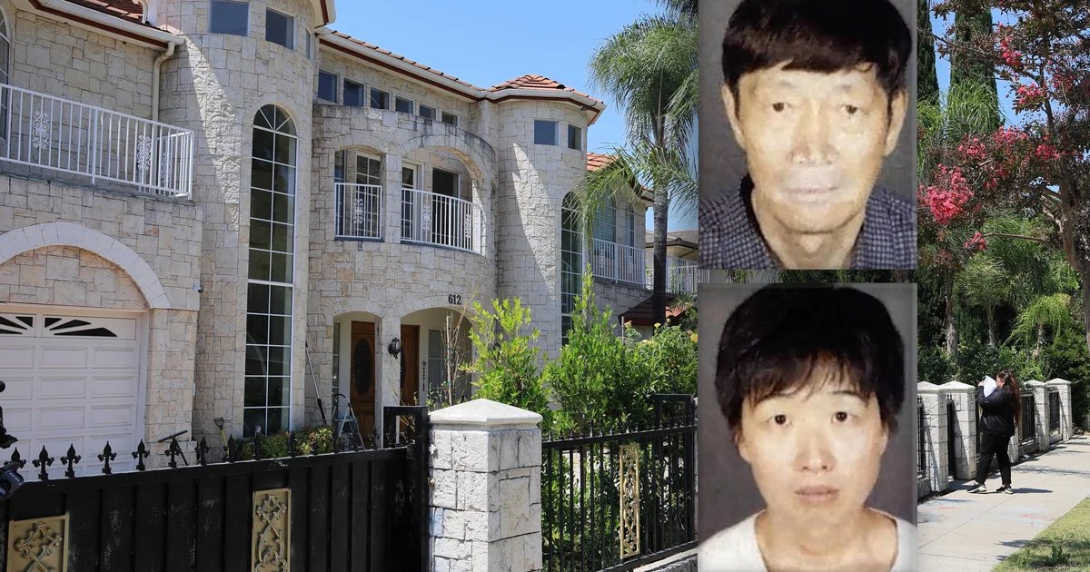 California couple at center of surrogacy scandal arrested