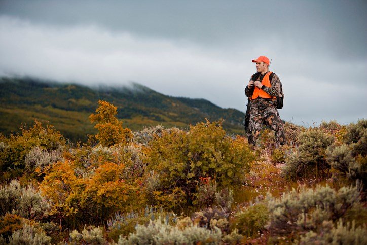 Mario Canseco: Canadians divided by gender on hunting, rodeos and fur use, poll finds