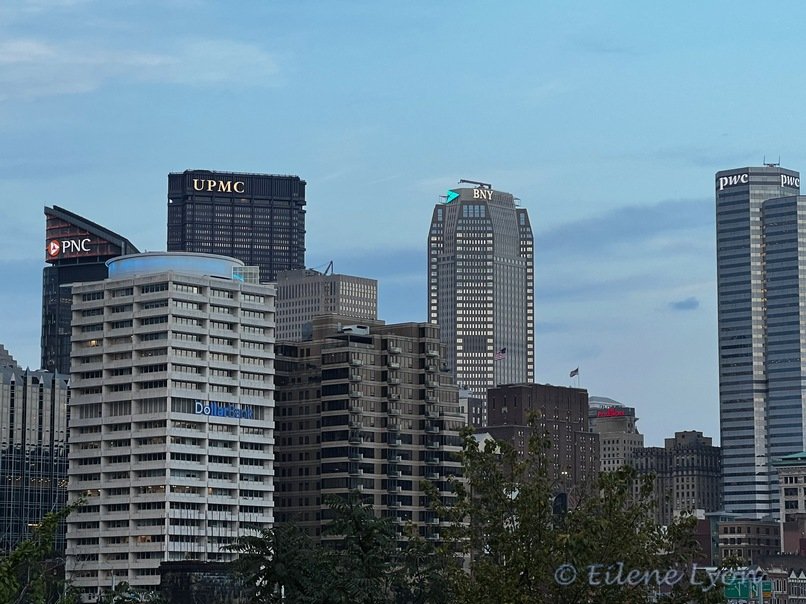 Starting Point: Pittsburgh – Myricopia