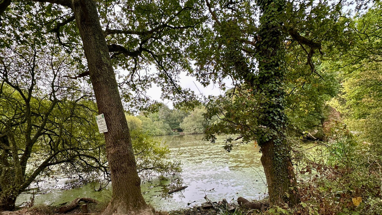 | Motivational Musical Monday: iWalk 3.48 miles👨🏻‍🦯iChristian