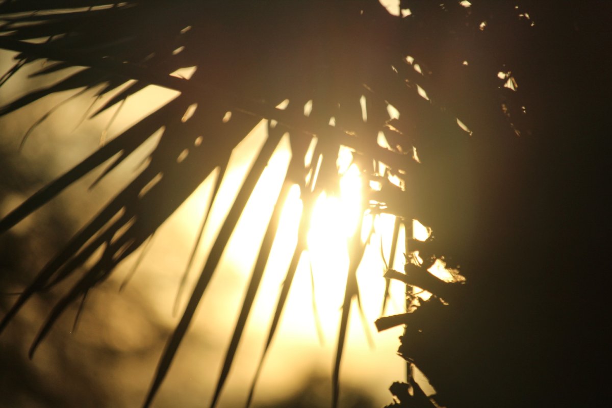 A Season Within – my inspired life