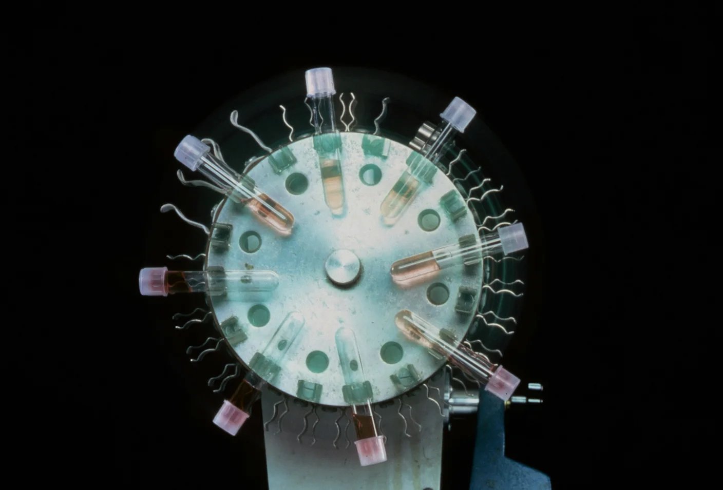 Radical New Tactic Would Stop Deadly Cancers Before They Start