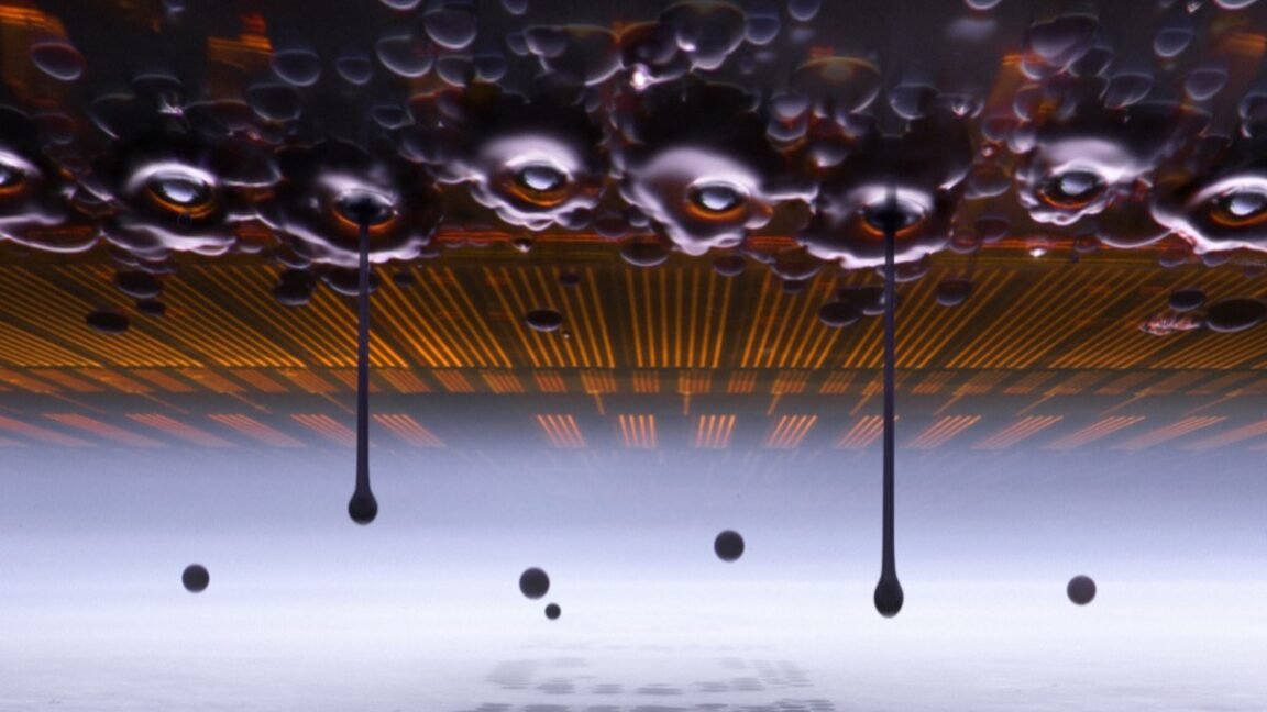 Ink droplets in motion snag top prize in Nikon Small World contest