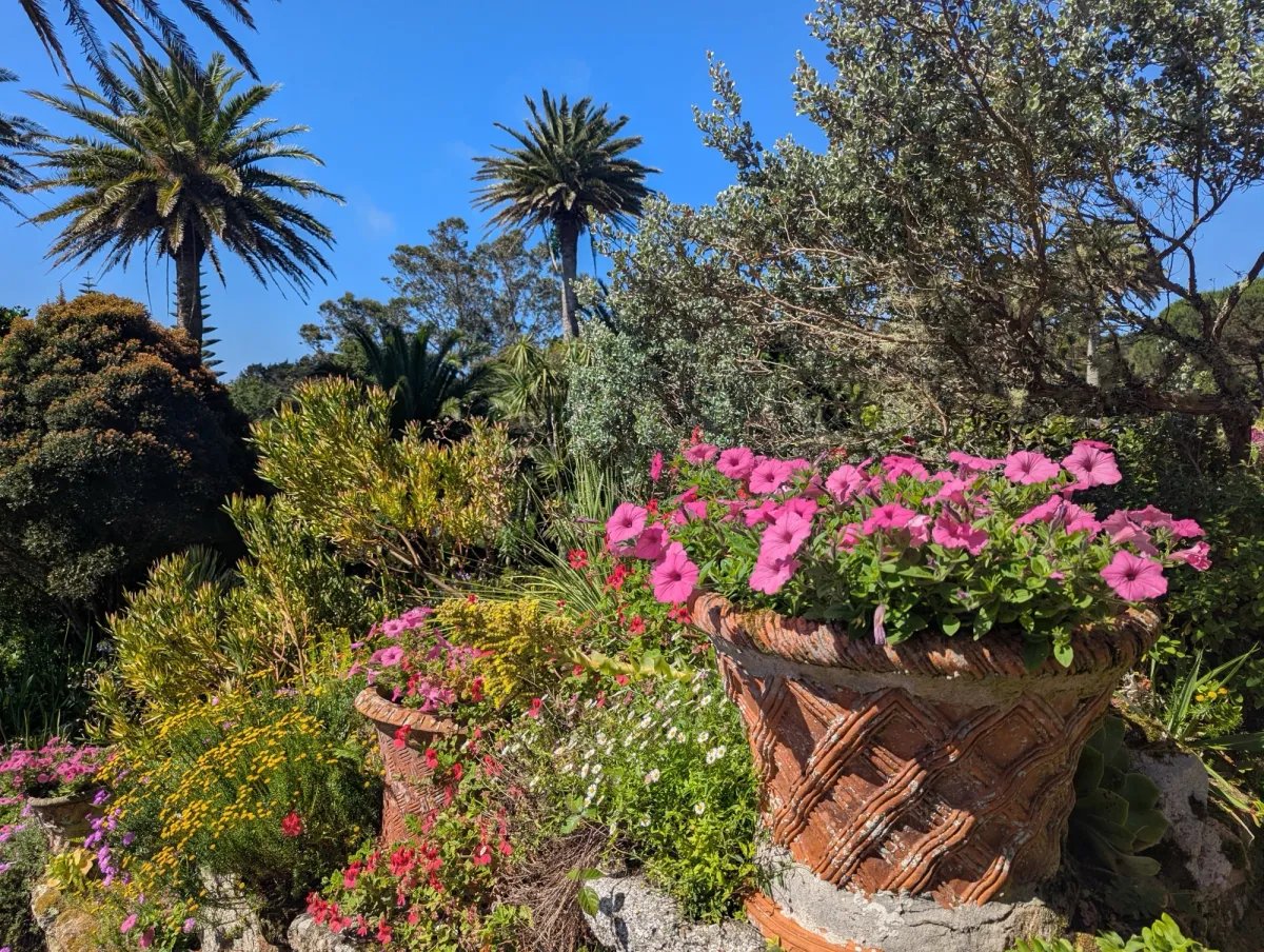 Tresco Day Trip from St Mary’s, Isles of Scilly – Love Travelling Blog