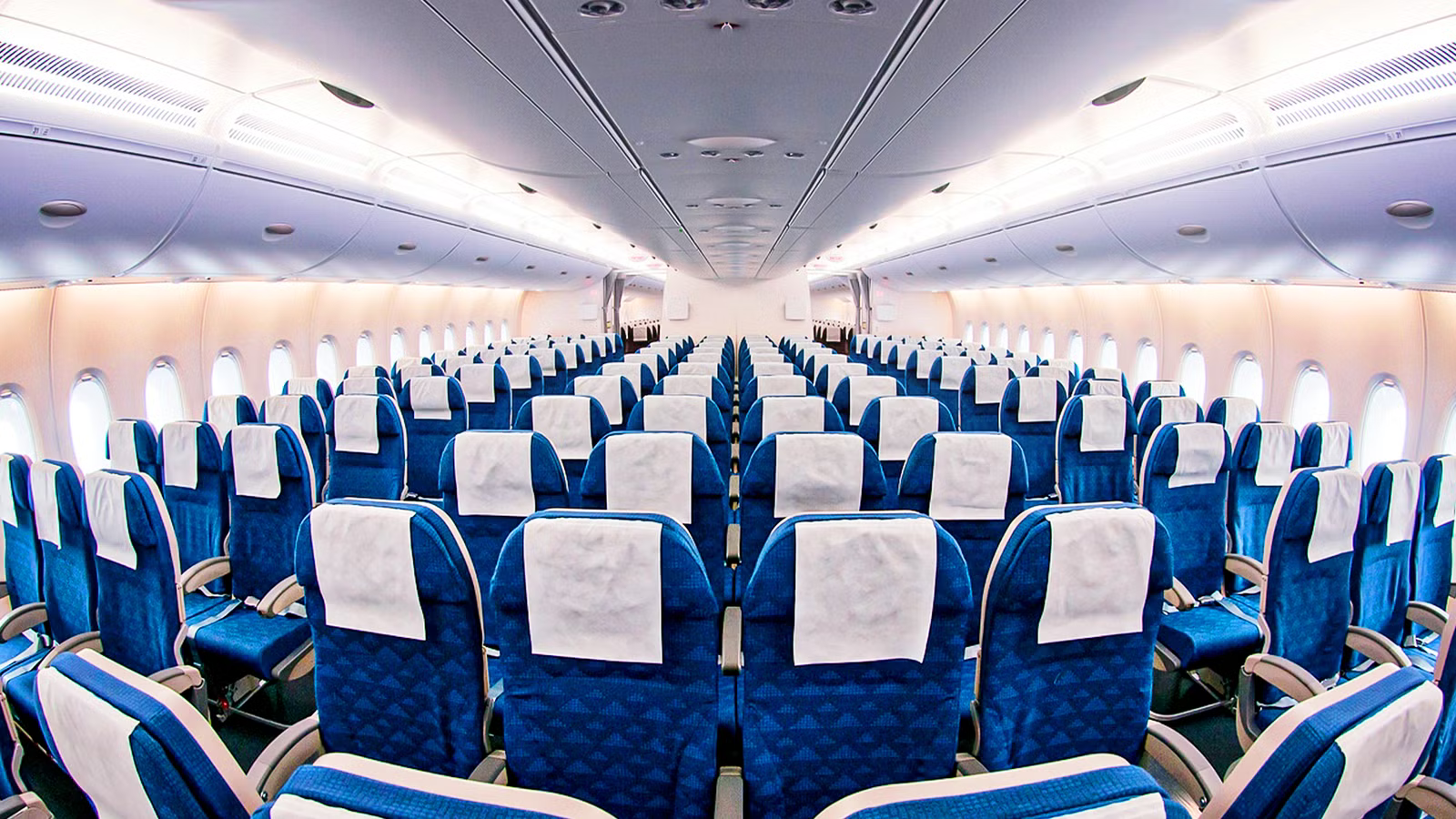These Are The Airlines With The World’s Longest Legroom In Economy In 2026