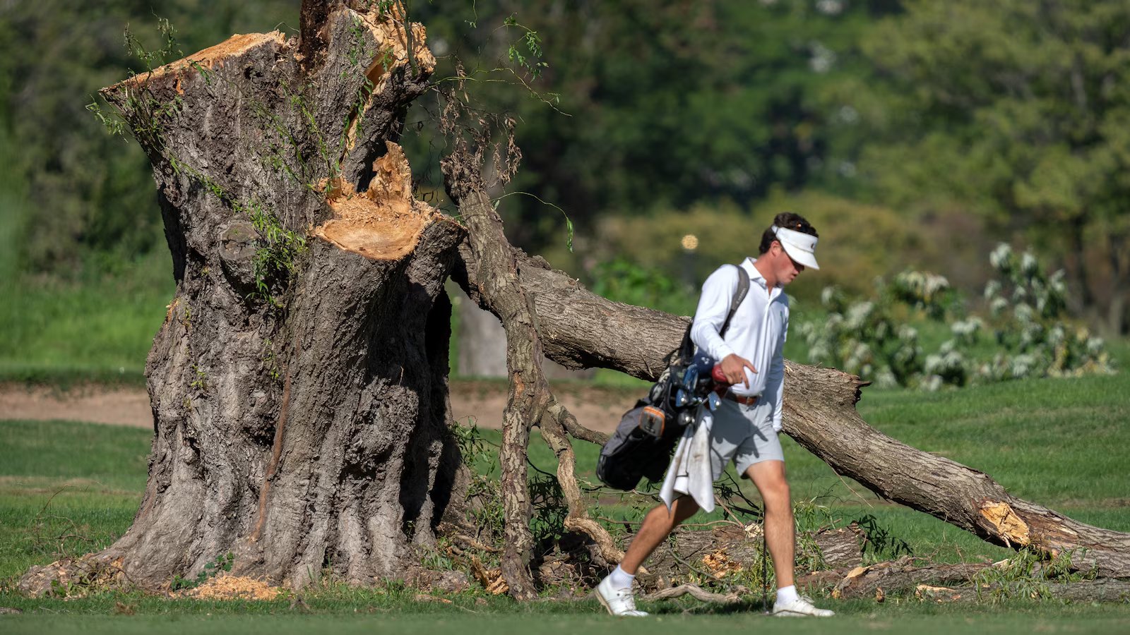 DOJ official clashes with judge in DC golf course case after Trump attacks her