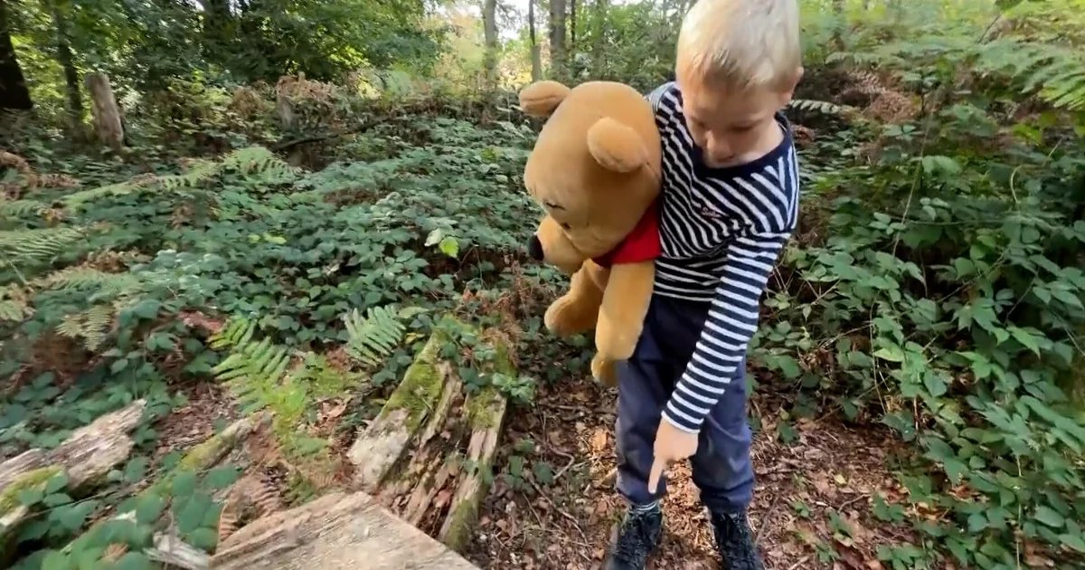 The Uplift: The Hundred Acre Wood