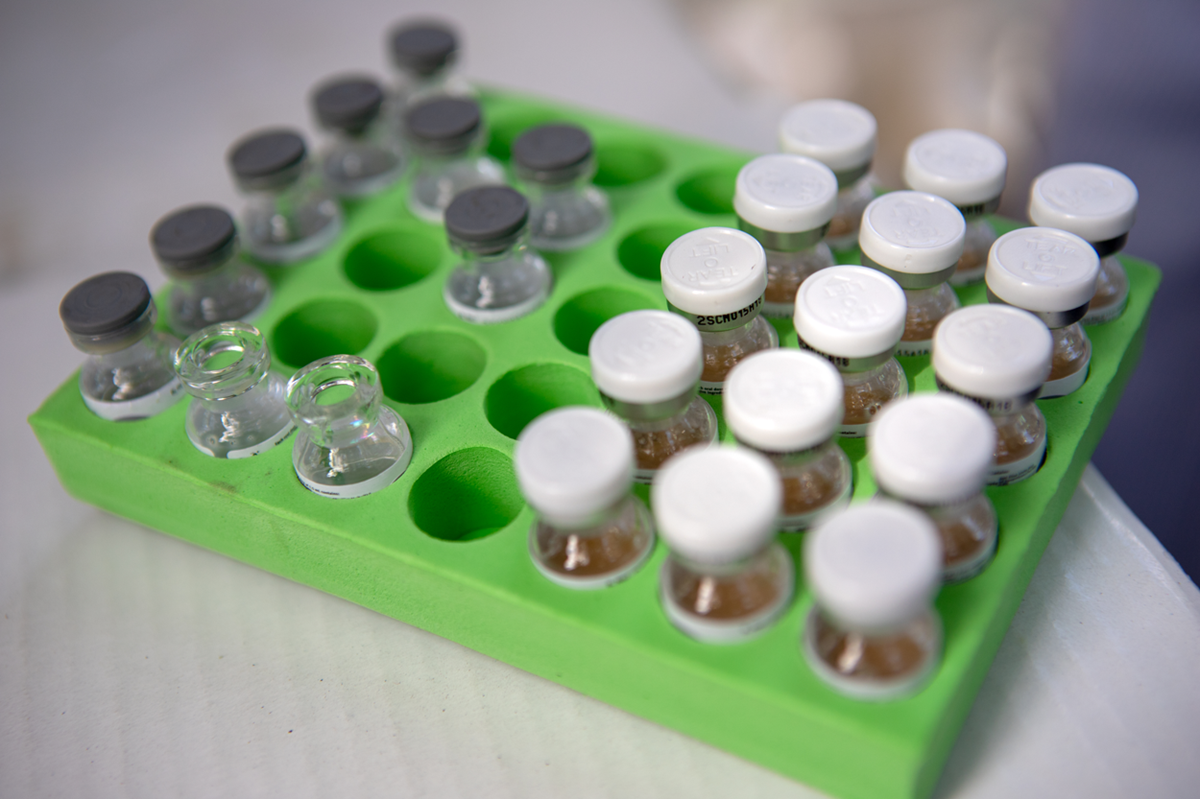 COVAX Announces new agreement, plans for first deliveries