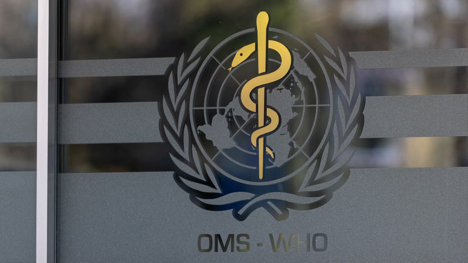 WHO officials say unclear how Russia plague lab worker died, call for more information